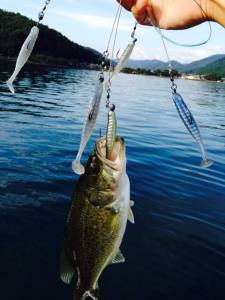 12027815_1015466185171837_4103611101080607955_n