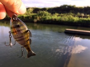 o0480036013415567063