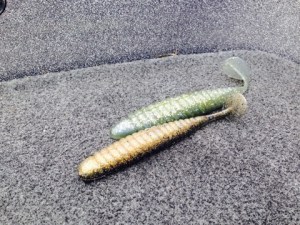 o0480036013420986821