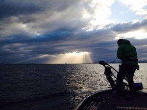 o0480036013421551512