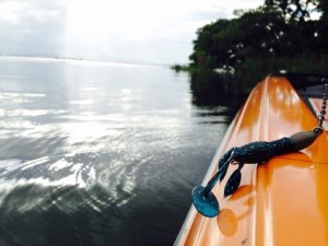 o0480036013421593256