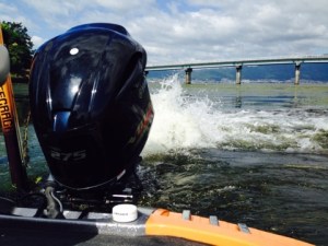 o0480036013421669326