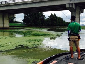 o0480036013421974881