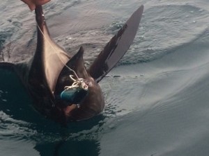 o0480036013436357435