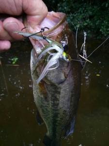 o0480064013412534689