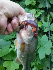 o0480064013412535216