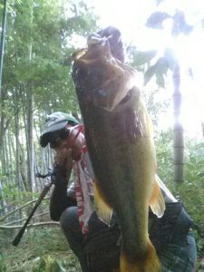 o0480064013418275505 (1)