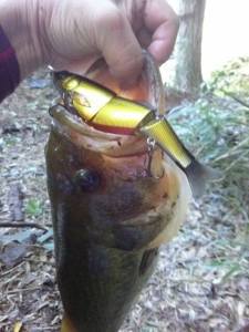 o0480064013418275741