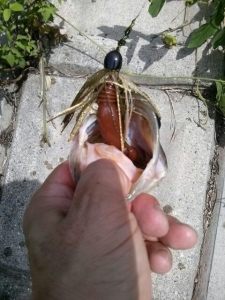 o0480064013418275998