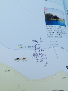 o0480064013420749008