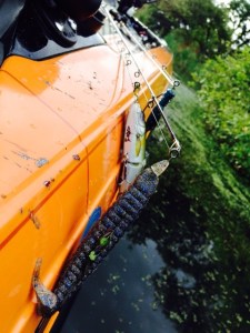 o0480064013421593252