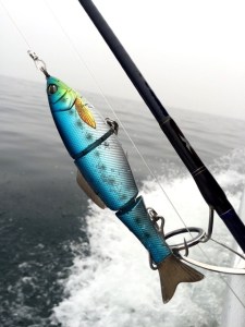 o0480064013436357441