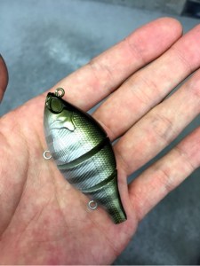 o0480064113413916124