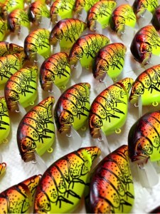 o0480064113415556164