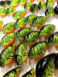 o0480064113415556177