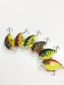 o0480064113426542040