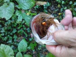 o0640048013412534687