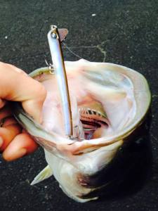 o0720096013409772494