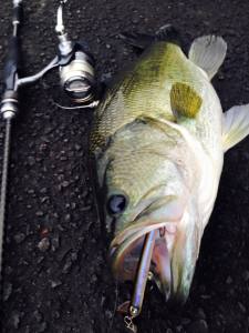 o0720096013409772495