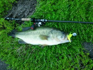 o0800060013412531020