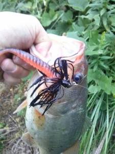 o0480064013459663507