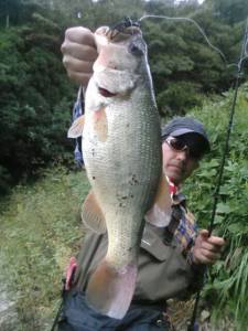 o0480064013459663508