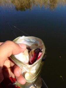 o0480064013459757177