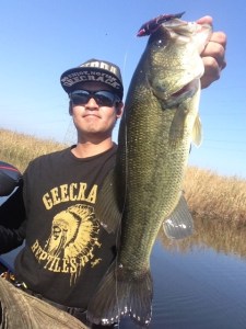 o0480064013459757178