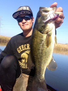 o0480064013459757179