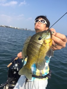 o0480064013463365634