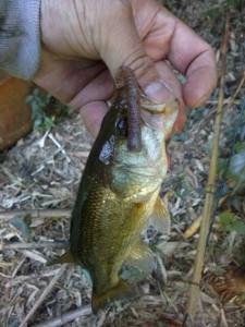 o0480064013465399674