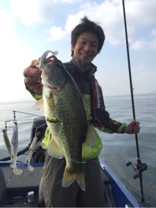 o0480064113443668308