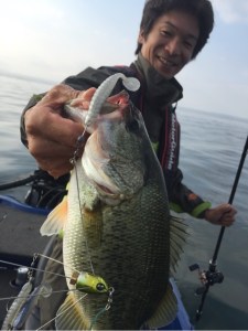 o0480064113443668326