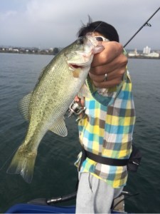 o0480064113463365623