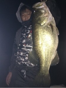 o0480064413459817812