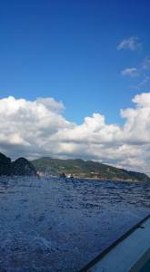 o0528096013460586402