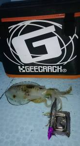 o0528096013460586403