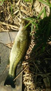 o0540096013453553976