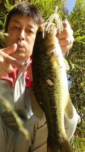 o0540096013453554638