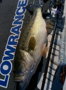 o0600080813459596301