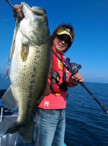 o0600080813459596302