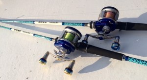 o0640035213452789695