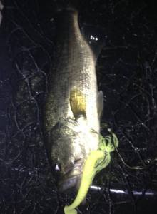 o0704096013445923299