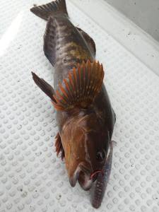 o0720096013455048449