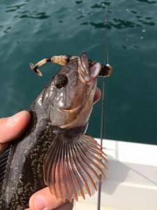 o0720096013455048450