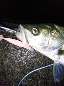 o0720096013468013762