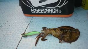 o0800045013460586401