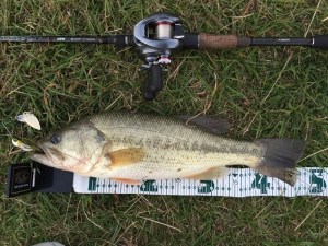 o0800060013455705173