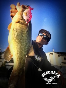 o0800106713451837474