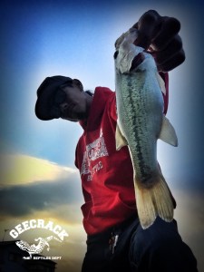 o0800106713463312700